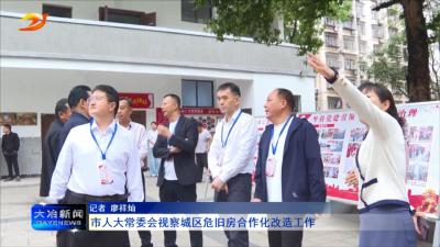 市人大常委会视察城区危旧房合作化改造工作
