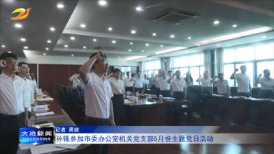 孙辄参加市委办公室机关党支部5月份主题党日活动