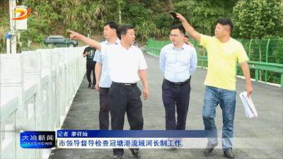市领导督导检查冠塘港流域河长制工作