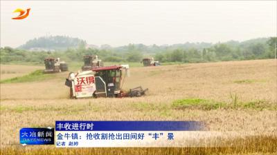 金牛镇：抢收割抢出田间好“丰”景