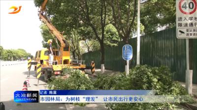 市园林局：为树枝“理发” 让市民出行更安心