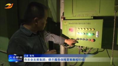 市农业发展集团：烘干服务保障夏粮颗粒归仓