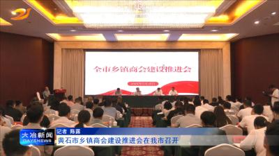 黄石市乡镇商会建设推进会在我市召开