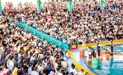 五一假期首日，湖北多地景区火爆，武汉入围国内十大热门目的地
