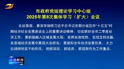 市政府党组理论学习中心组2025年第8次集体学习（扩大）会议召开