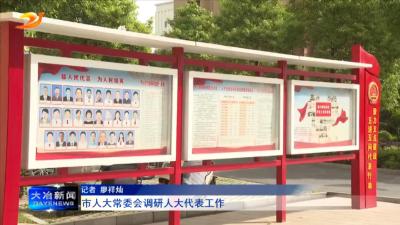市人大常委会调研人大代表工作