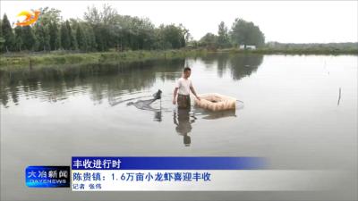陈贵镇：1.6万亩小龙虾喜迎丰收