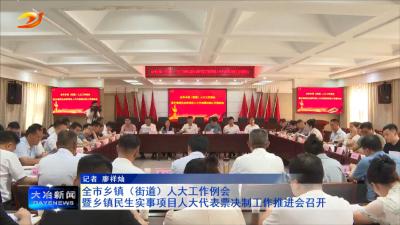 全市乡镇（街道）人大工作例会暨乡镇民生实事项目人大代表票决制工作推进会召开