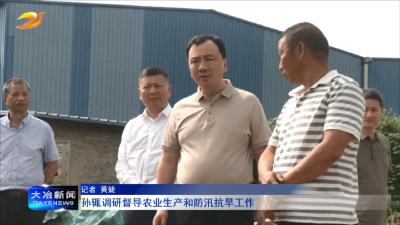 孙辄调研督导农业生产和防汛抗旱工作