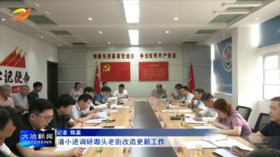 潘小进调研墈头老街改造更新工作