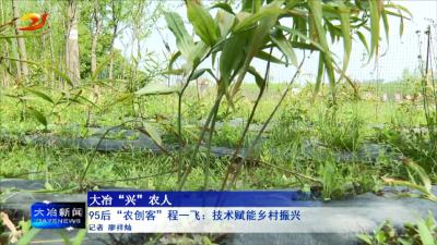 95后“农创客”程一飞：技术赋能乡村振兴