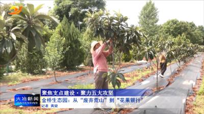 金桥生态园：从“废弃荒山”到“花果银行”