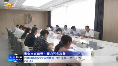 孙辄调研涉企行政检查“综合查一次”工作