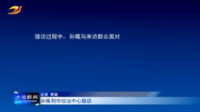 孙辄到市综治中心接访