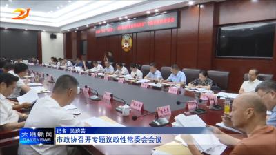 市政协召开专题议政性常委会会议