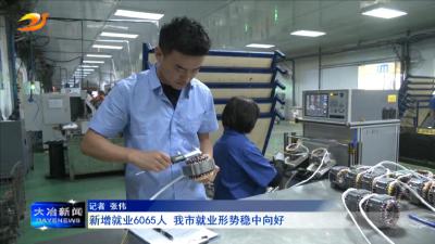  新增就业6065人 我市就业形势稳中向好