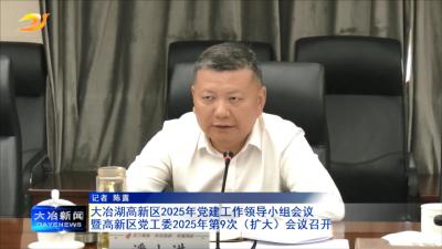 大冶湖高新区2025年党建工作领导小组会议暨高新区党工委2025年第9次（扩大）会议召开