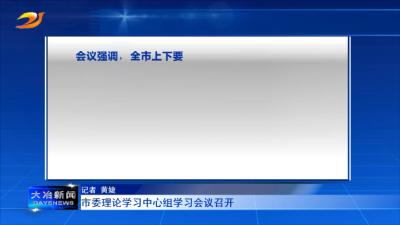 市委理论学习中心组学习会议召开
