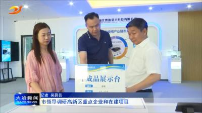 市领导调研高新区重点企业和在建项目