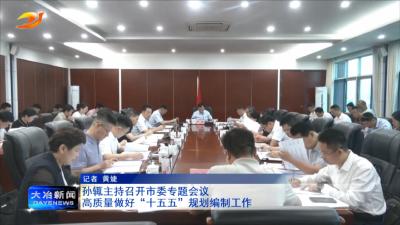 孙辄主持召开市委专题会议 
高质量做好“十五五”规划编制工作