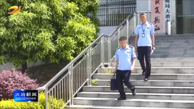 黄石市生态环境局大冶市分局：强化“服务+监管”书写生态治理新篇章