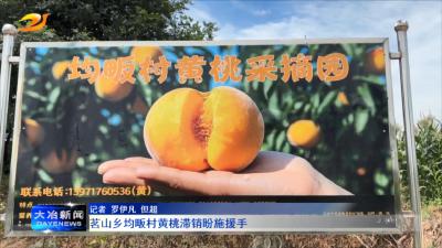 茗山乡均畈村黄桃滞销盼施援手