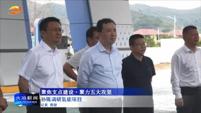 孙辄调研氢能项目
