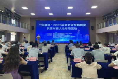 “知产”变资产 专利促发展