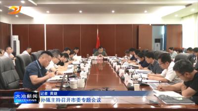 孙辄主持召开市委专题会议 