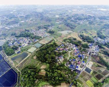 【聚焦支点建设·聚力五大攻坚 品质提升】袁伏二村：文明乡风润沃土 产业新景绘丰年