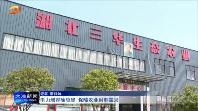 电力增容除隐患 保障农业用电需求