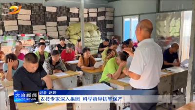农技专家深入果园 科学指导抗旱保产
