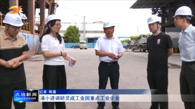 潘小进调研灵成工业园重点工业企业