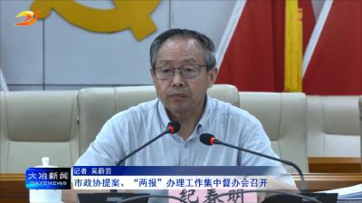 市政协提案、“两报”办理工作集中督办会召开