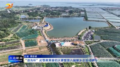 “渤海杯”武鄂黄黄垂钓大赛暨第六届梨乡会活动举行