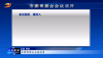 市委常委会会议召开