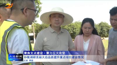 孙辄调研美丽大冶品质提升重点项目建设情况