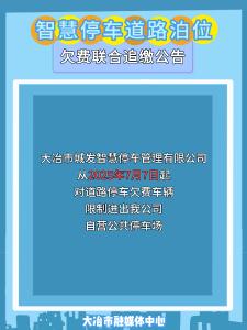 大冶车主注意啦——智慧停车道路泊位欠费联合追缴的公告