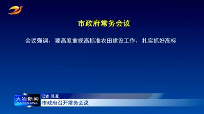 市政府召开常务会议