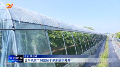 金牛镇第二届富硒水果采摘季开幕