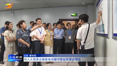 市人大常委会视察我市城市智能体建设情况