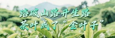 闵洪艳：用党员 “先行脚” 走出村民 “希望路”​