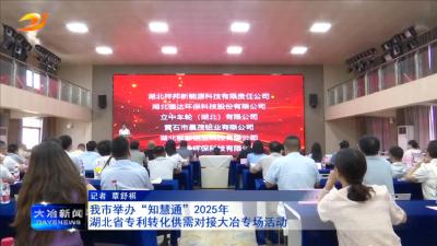 我市举办“知慧通”2025年湖北省专利转化供需对接大冶专场活动