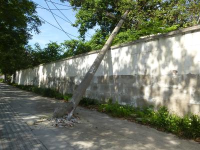 【民情直通车】一根废弃通信线杆，处置需要两周时间？