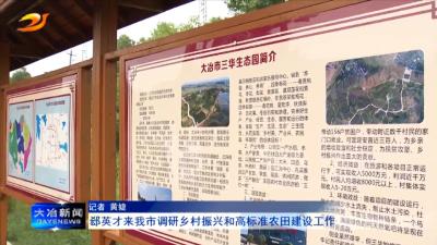 郄英才来我市调研乡村振兴和高标准农田建设工作
