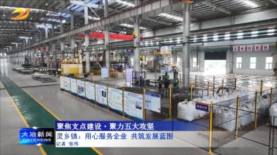 灵乡镇：用心服务企业 共筑发展蓝图