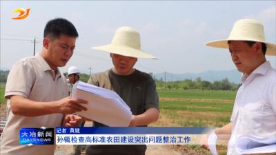 孙辄检查高标准农田建设突出问题整治工作