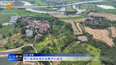 鄂王城遗址保护发展中心成立