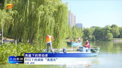 烈日下的湖面“清道夫”