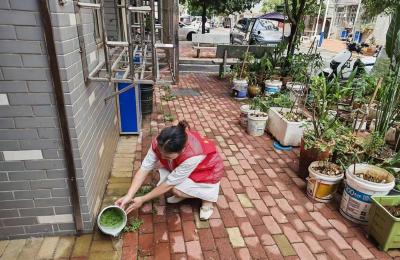 降低病媒传播风险 保障居民身体健康